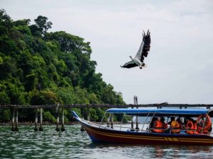 Island Hopping - Sharing